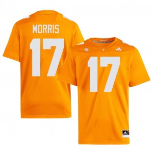 Daune Morris #17 Tennessee Volunteers Jersey | Iconic Orange College Football Men Embroidery 70886865