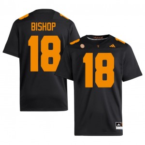 DeSean Bishop #18 Tennessee Volunteers Jersey | Iconic Black College Football Men Stitch 88765770
