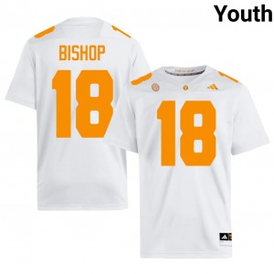 DeSean Bishop #18 UT Vols Jersey | Pro-Grade White College Football Youth Stitched 72975868